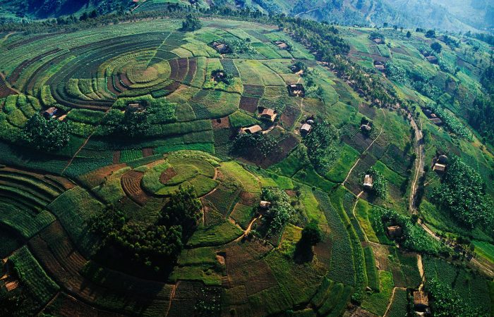 What to Expect On Safari in Uganda?